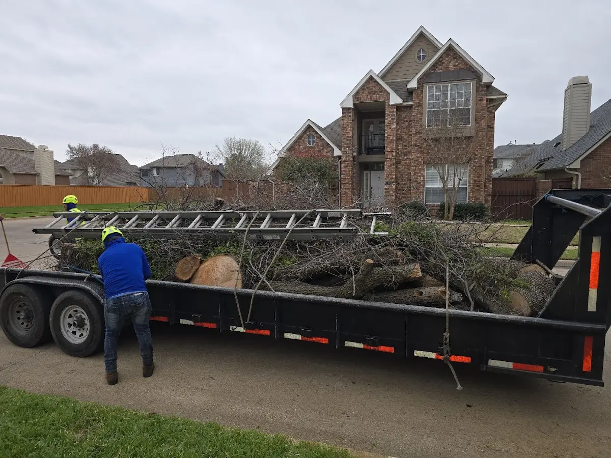 Expert Lot Clearing with proper safety equipment in Arboles